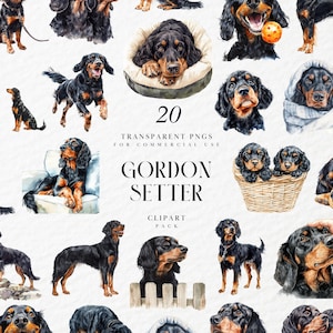Pode incluir: Uma coleção de 20 PNGs transparentes com cães Gordon Setter em várias poses. As ilustrações em aquarela mostram a pelagem preta e castanha distinta da raça, alguns cães estão em camas, brincando ou em pé. O texto "GORDON SETTER CLIPART PACK" também é visível.