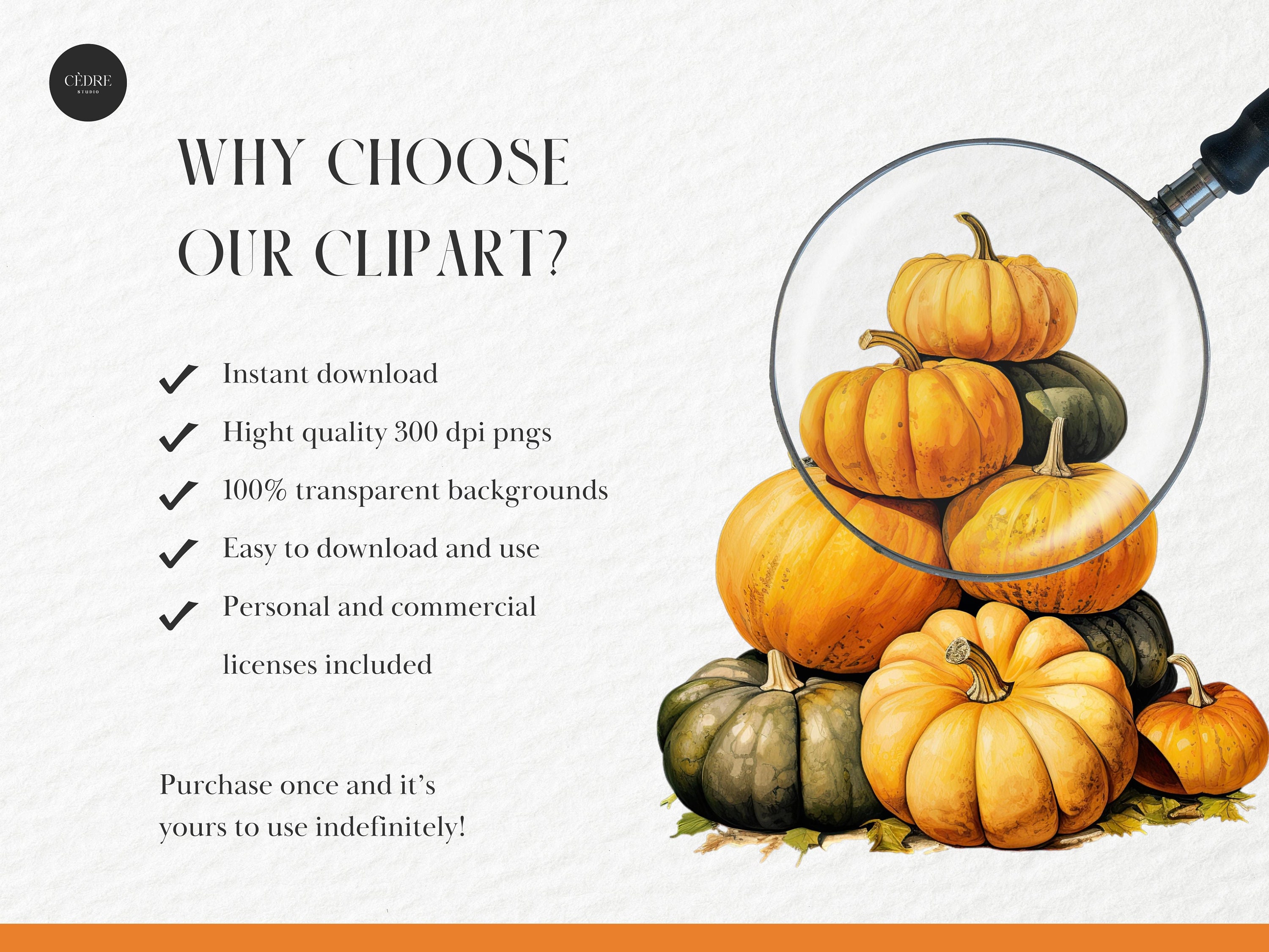 Watercolor Pumpkin Clipart, Orange Pumpkins Clipart, Autumn Pumpkin ...