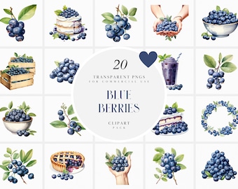 Watercolor Blueberries Clipart, Blueberry Clipart, Botanical Blue berry farm, Blueberry Themed Graphics Illustrations PNG For Commercial Use