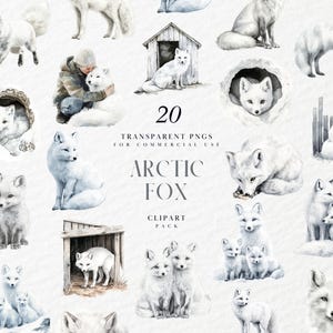 Aquarel poolvos clipart, witte sneeuwvos, arctische dieren in het wild, hoektanden, vossen pup, winter, Nordic, transparante png, commercieel gebruik