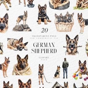 Clipart aquarelle de berger allemand, race de chien de travail fidèle, illustration de chiot pour travaux manuels et cartes, alsacien, PNG Transparent, usage Commercial