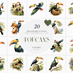 Watercolor Toucan Clipart, Flying Toucans Clipart, Tropical Bird Clipart, Chirping Exotic Birds, Transparent PNG Graphics, Commercial Use
