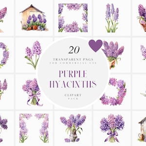 Aquarel paarse hyacint clipart, bloemen paarse hyacinten clipart, hyacint bloemen boeket clipart, transparante PNG, commercieel gebruik