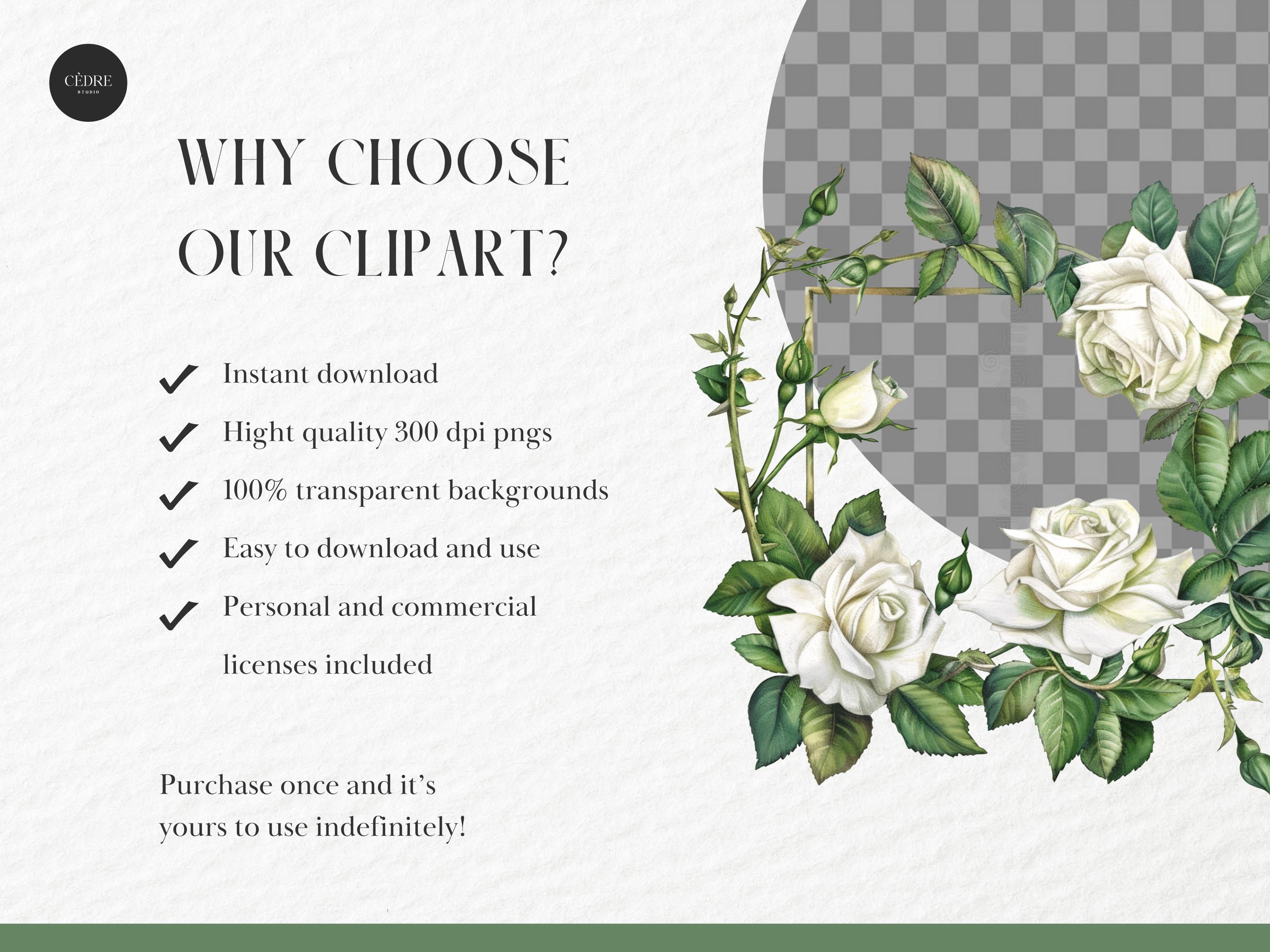 White Roses Frame Square Watercolor White Rose Round Frame Clipart, White Rose Square Frame ...