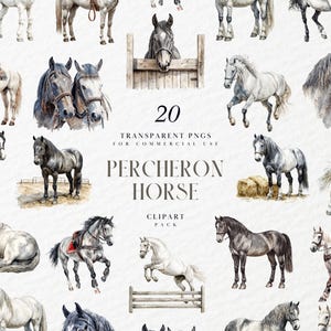 Clipart cheval percheron aquarelle, projet de décoration d'animaux de la ferme, race lourde Français pour art équestre, graphiques PNG transparents, usage Commercial