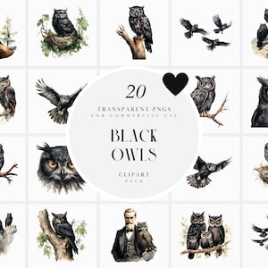 Aquarelle noir propre clipart, clipart hiboux volants, sage vieux hibou oiseau clipart, amoureux de la chouette chouette, graphiques PNG transparents, usage Commercial