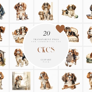 Imágenes prediseñadas de Cavalier King Charles Spaniel en acuarela, imágenes prediseñadas de perro CKCS, cachorro lindo, imágenes prediseñadas de perro mascota de la casa familiar, PNG transparente, uso comercial