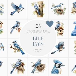 May include: A set of 20 digital clipart images featuring blue jays in various poses and settings. The images are perfect for crafting, scrapbooking, and other creative projects.