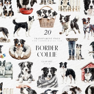 Watercolor Border Collie Clipart, Cute Herding Puppy Portrait, Sheepdog Nursery Art for Pet Lovers, Transparent PNG Graphics, Commercial Use