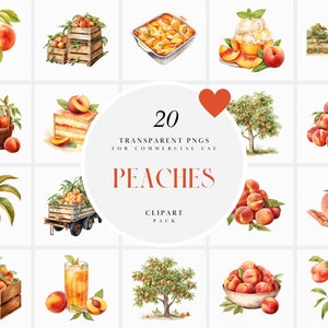 Watercolor Peaches Clipart, Peach Clipart, Fresh Peach Fruit Clipart, Junk Journal, Scrapbooking, Transparent PNG files Commercial Use Art