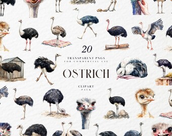 水彩ダチョウのクリップアート、サファリの鳥のイラスト、面白い