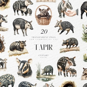 Puede incluir: Un conjunto de 20 imágenes de clipart digital de tapires en varias poses. Los tapires están ilustrados en un estilo de acuarela con marcas blancas y negras. Las imágenes son PNG transparentes y son para uso comercial.