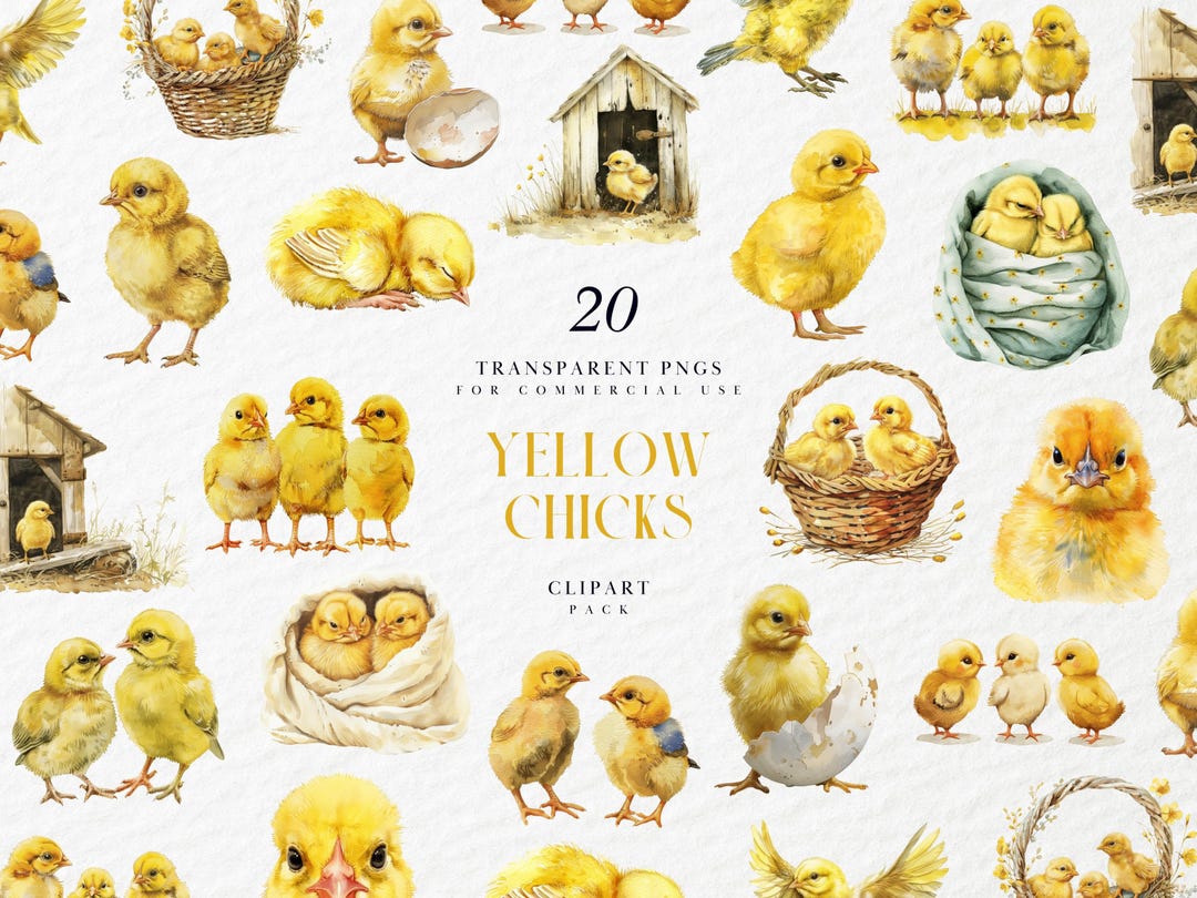 Watercolor Yellow Chicks Clipart, Baby Chicken Chick, Farm Animals ...