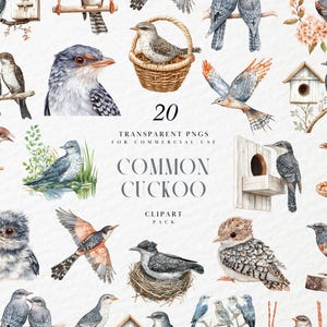 May include: A collection of 20 transparent PNG images of birds, including cuckoos, in watercolour style. The illustrations show detailed depictions of the birds, some perched on branches or in nests. The text reads "Common Cuckoo Clipart Pack".
