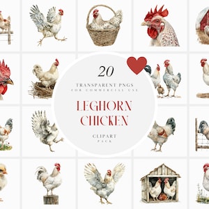 Aquarelle poulet Leghorn Clipart, clipart poulet blanc, poulets de la ferme, poussin, volaille, graphiques PNG transparents, usage Commercial