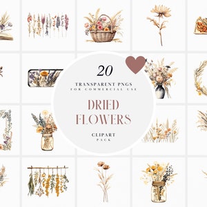 Aquarell getrocknete Blumen Clipart, Neutral farbige getrocknete Blumen Arrangement Clipart, Beige Blumen Clipart, transparente PNG, kommerzielle Nutzung