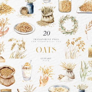 Clipart di avena ad acquerello, illustrazione di cereali salutari, campo di grano biologico, arte di cereali per la colazione vegana, PNG trasparente, uso commerciale