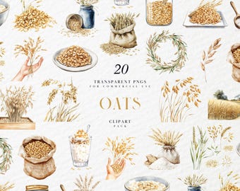 Watercolor Oats Clipart, Healthy Grain Food Illustration, Organic Wheat Field, Vegan Breakfast Cereal Art, Transparent PNG, Commercial Use