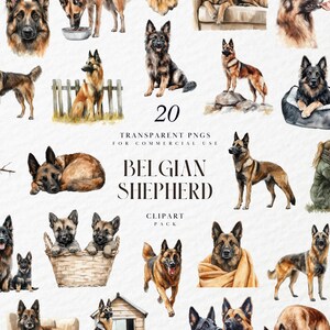 Puede incluir: Una colección de 20 ilustraciones en acuarela de perros pastor belga en varias poses. Las imágenes incluyen perros de pie, sentados e interactuando con objetos. Se muestra el texto "Belgian Shepherd Clipart Pack".