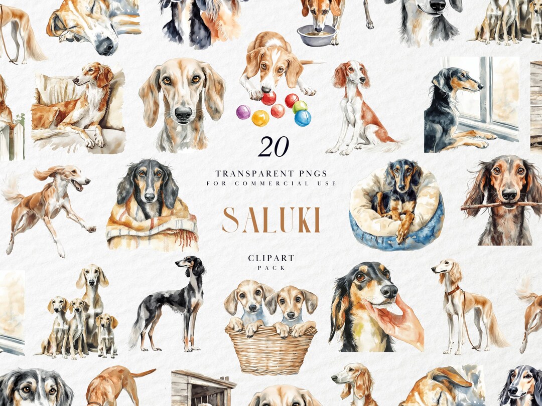Watercolor Saluki Clipart, Elegant Sighthound Breed Illustration