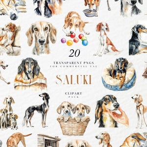 Clipart di Saluki ad acquerello, elegante illustrazione di razza di levriero, arte digitale di un cane gazzella arabo, grafica PNG trasparente, uso commerciale