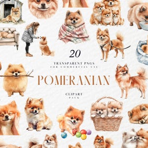 Watercolor Pomeranian Clipart, Pomeranians Clipart, Cute Puppies Dog Clipart, Home Pet Dog Clipart, Transparent PNG Graphics, Commercial Use