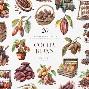 Imágenes prediseñadas de granos de cacao en acuarela, cultivo de cacao, planta de cacao, chocolate, grano de cacao entero fresco, gráficos PNG transparentes, uso comercial