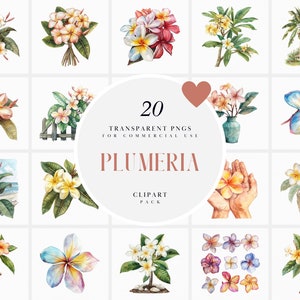 Akvarell Plumeria blommor Clipart, blommig tropisk Frangipani Clipart, sommarblomma Clipart, transparent PNG-grafik, kommersiellt bruk