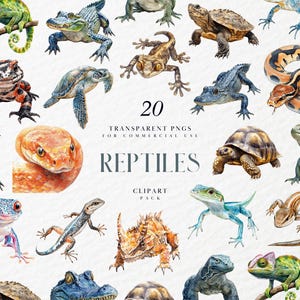 Pode incluir: Uma coleção de 20 ilustrações em aquarela de répteis, incluindo cobras, lagartos e tartarugas. O texto "REPTILES" e "CLIPART PACK" é exibido. PNGs transparentes para uso comercial.