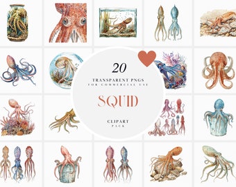 Watercolor Squid Clipart, Sea Life Squid Clipart, Squids Clipart, Under the Sea Creatures Clipart, Transparent PNG Graphics, Commerical Use