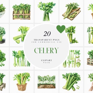 Może przedstawiać: Zestaw 20 akwarelowych ilustracji selera w różnych aranżacjach. Ilustracje przedstawiają seler w misce, skrzyni, szklance soku z selera i dłoni trzymającej seler. Tekst "20 TRANSPARENT PNGS FOR COMMERCIAL USE CELERY CLIPART PACK" jest wyświetlany w środku obrazu.