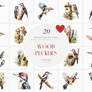 Aquarelle des cliparts de pics, des cliparts de pics des bois, des cliparts de pics pics volants, des oiseaux mignons, PNG Transparent, usage Commercial