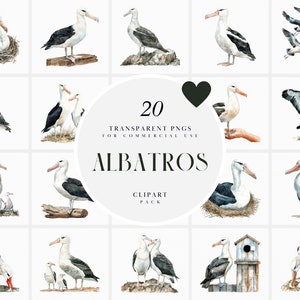 Clipart di albatros acquerello, clipart di albatros volanti, clipart di uccelli nautici, clipart di gabbiani, grafica PNG trasparente, uso commerciale