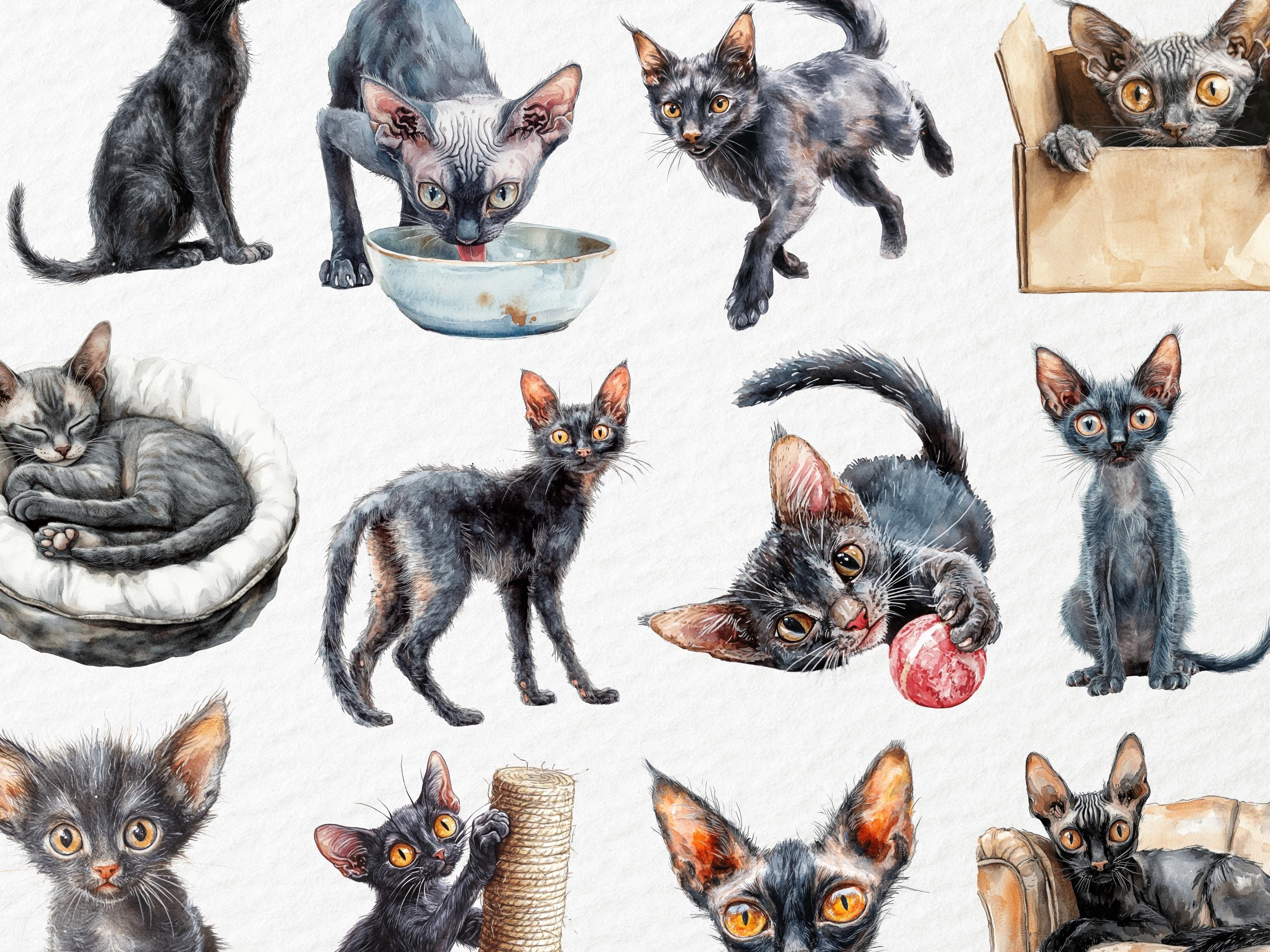 水彩画のリコイのクリップアート、珍しい狼男猫種、短毛の神秘的なネコ