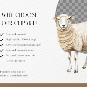 May include: Watercolor illustration of a sheep with the text "WHY CHOOSE OUR CLIPART?" and bullet points listing features like instant download and transparent backgrounds. The sheep is white with tan wool and standing on a white background.