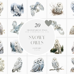 Aquarel besneeuwde eigen clipart, vliegende uilen, witte wijze oude uil vogel, Arctica Wildlife, toendra fauna, transparante PNG-graphics, commercieel gebruik