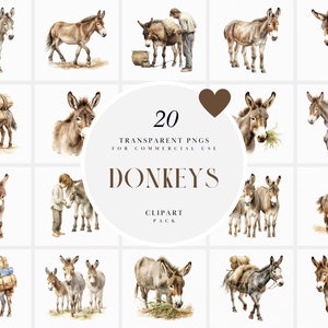 Watercolor Donkey Clipart, Donkeys Clipart, Happy Funny Donkey Clipart, Pet Baby Farm Donkey Clipart, Transparent PNG Graphic Commercial Use