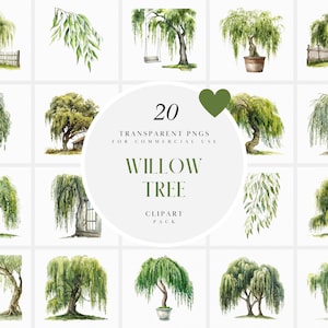 Clipart di salice acquerello, Clipart di salici verdi, Vecchio saggio albero piangente, Ramo pendente, Grafica PNG trasparente, Uso commerciale