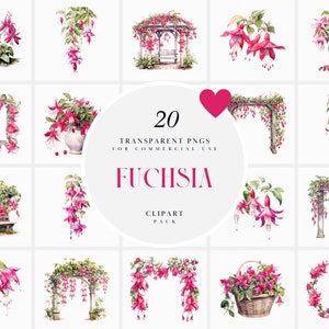Aquarelle fleurs fuchsias clipart, clipart fleurs fuchsia, clipart floral fuchsia, fleur fuchsia, PNG Transparent, usage Commercial