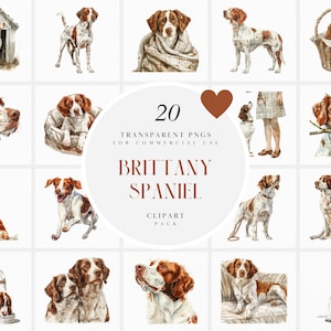 Aquarelle clipart épagneul breton, chien breton breton, chien de compagnie maison familiale, chiot mignon chiots, graphiques PNG transparents, usage Commercial