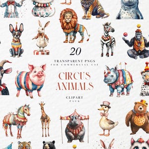 Clipart de animales de circo en acuarela, decoración colorida para habitación infantil, animales mágicos divertidos, payaso adorable, gráficos PNG transparentes, uso comercial
