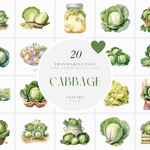 Aquarelle des cliparts chou, des cliparts chou vert, des cliparts végétariens verts, des cliparts de légumes frais sains, PNG Transparent, usage Commercial