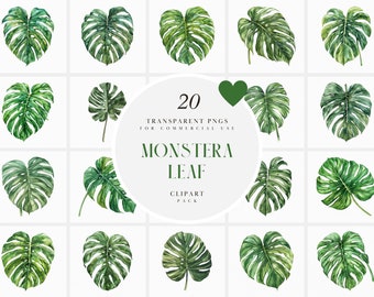 Watercolor Monstera Tree Clipart, Green Monstera Leaves Clipart, Tree Plant, Summer Tropical Greens, Transparent PNG Graphic, Commercial Use