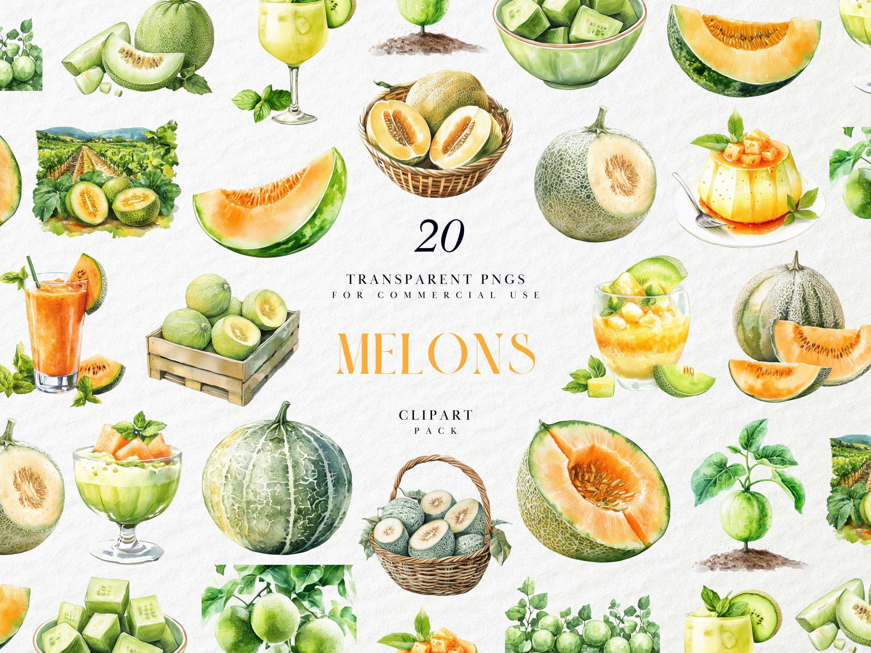 Cantaloupe Clipart - Etsy, image size:3000x2250
