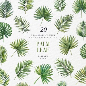 Clipart aquarelle de feuille de palmier, tropical, jungle, feuillage, verdure, feuille d'arbre, assortiment de feuilles vertes, graphique PNG transparent, usage Commercial