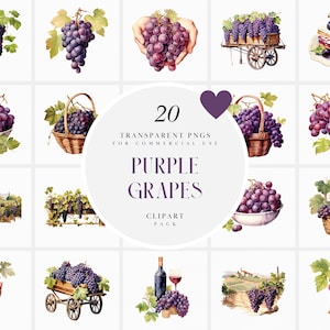 Aquarelle des cliparts raisins violets, des cliparts raisins de cuve, des cliparts botanique doux vendanges, ferme de vigne, Format PNG pour un usage commercial