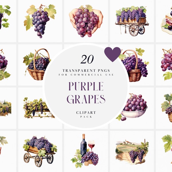 Watercolor Purple Grapes Clipart, Wine Grapes Clipart, Botanical Sweet Grape Harvest Clipart, Vine Yard Farm, PNG Format For Commercial Use