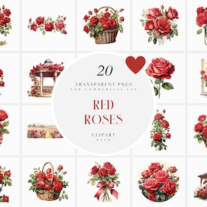 Aquarell rote Rose Clipart, Braut rote Rosen Clipart, Hochzeit Rose Bouquet Clipart, Instant Download PNG-Format für kommerzielle Nutzung