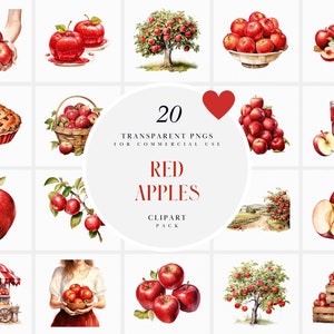 Aquarelle de pommes rouges des cliparts, délicieux clipart pomme rouge, clipart botanique pomme douce récolte, ferme de pommes, Format PNG pour un usage commercial
