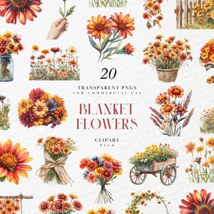 Couverture aquarelle fleurs Clipart, fleurs Gaillardia vibrantes, fleurs sauvages d'été rustique botanique, graphiques PNG transparents, usage Commercial